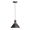 Maxim Lighting Tucson 1-Light 11.25" Wide Bronze / Weathered Wood Pendant Light 10089OIWWD - alternate 1